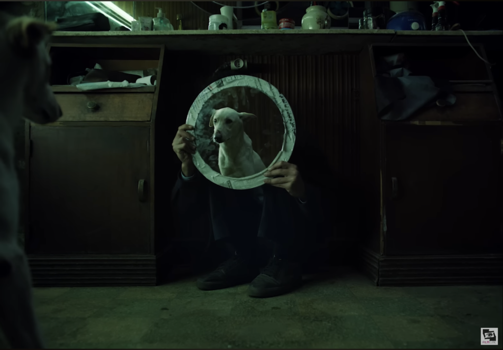 البحث عن منفذ لخروج السيد حسن – مراجعة: فاطمة الزهراء